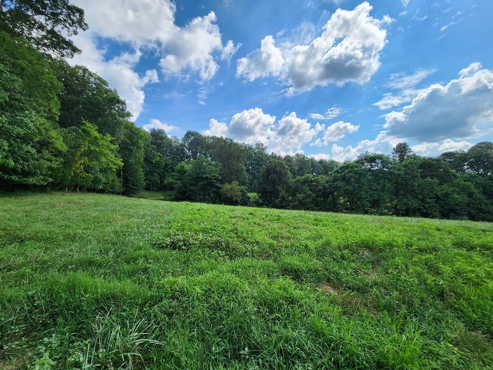 0 Taurus Farm Rd Property Photo 32