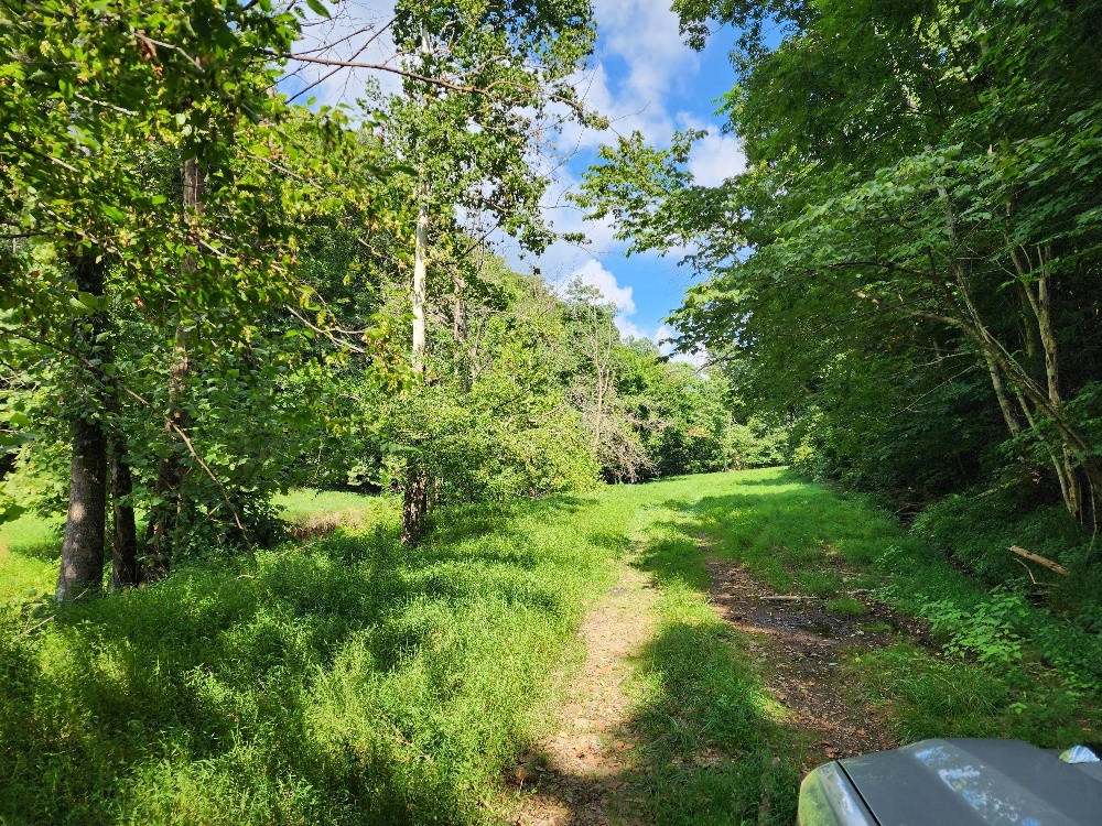 0 Taurus Farm Rd Property Photo 36