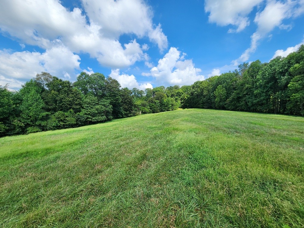 0 Taurus Farm Rd Property Photo 38