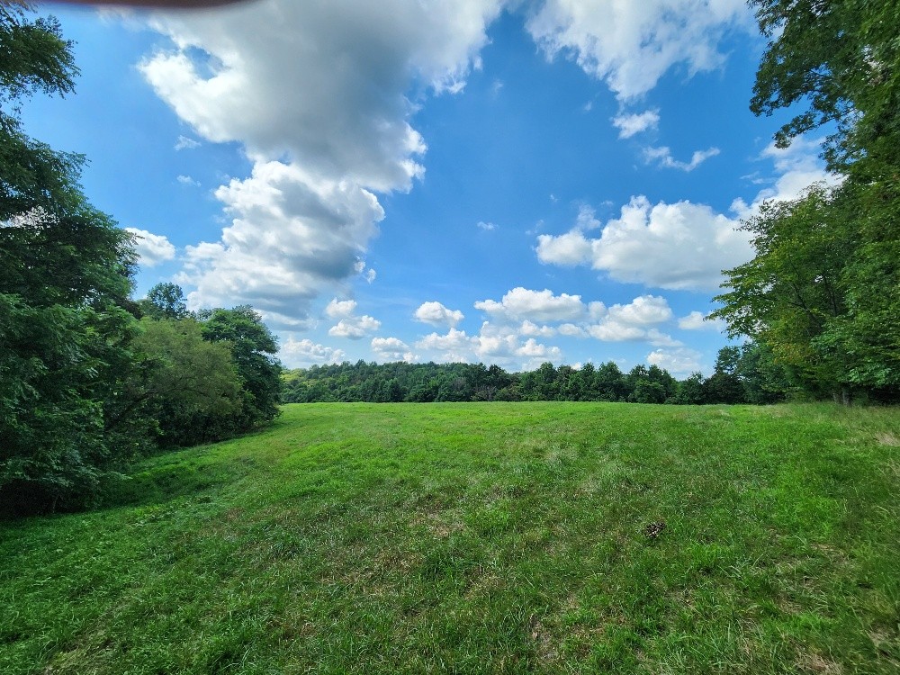 0 Taurus Farm Rd Property Photo 39