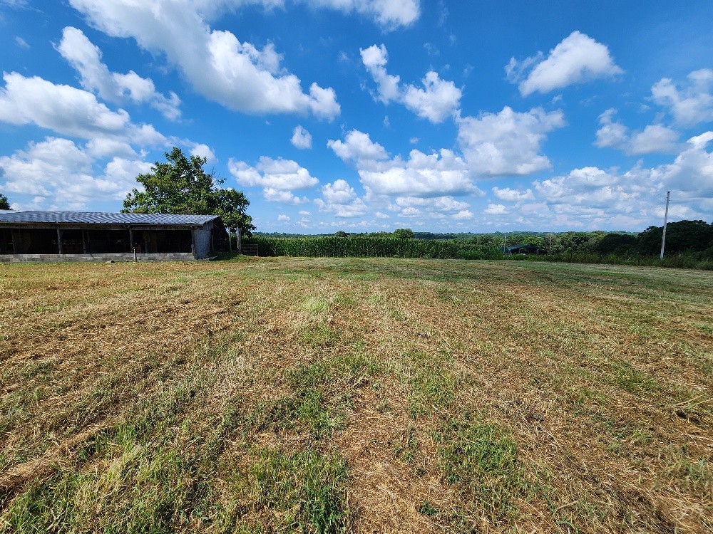 0 Taurus Farm Rd Property Photo 43
