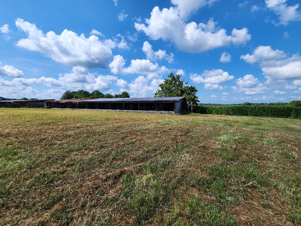 0 Taurus Farm Rd Property Photo 44