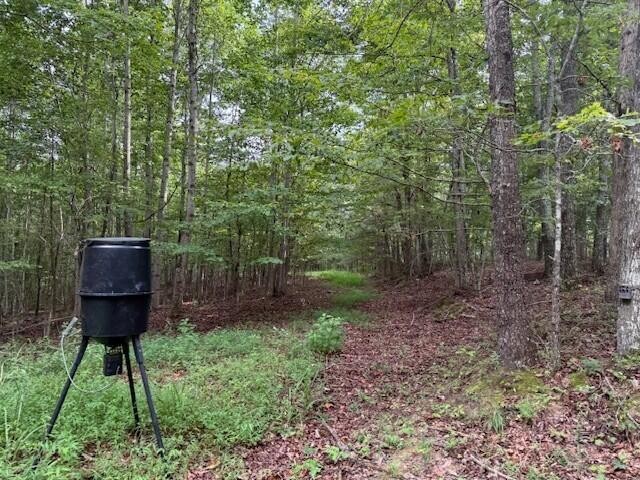 0 South Pittsburg Mountain Road Property Photo 3