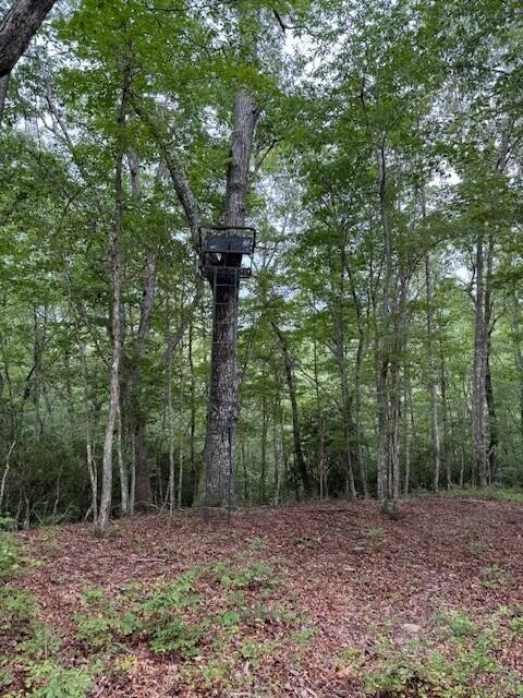 0 South Pittsburg Mountain Road Property Photo 4