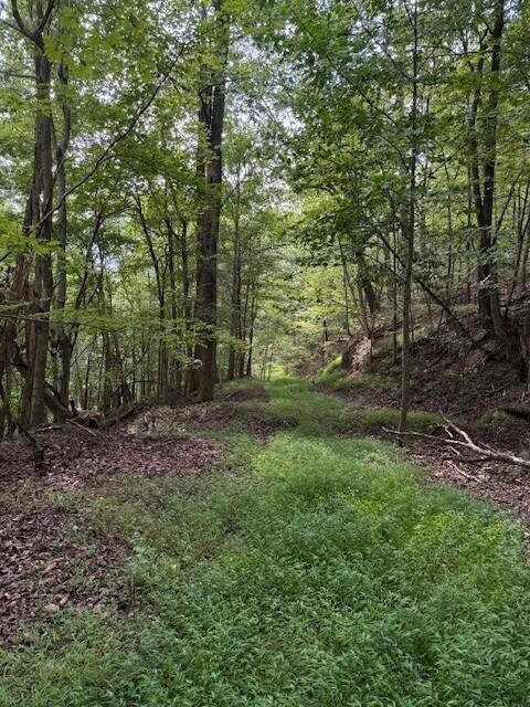 0 South Pittsburg Mountain Road Property Photo 5