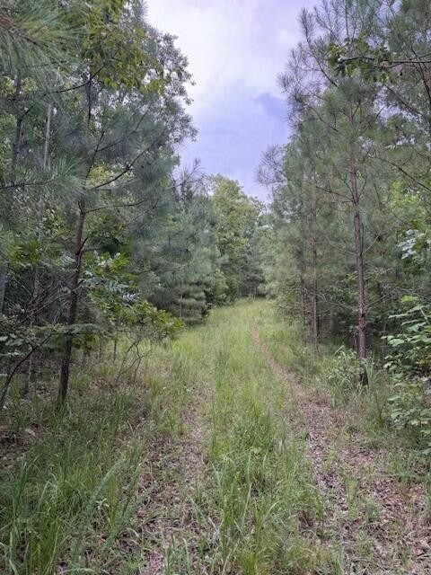 0 South Pittsburg Mountain Road Property Photo 7