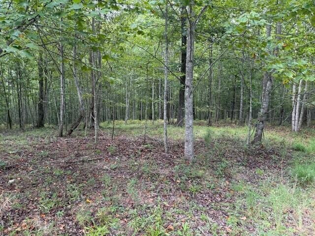 0 South Pittsburg Mountain Road Property Photo 8