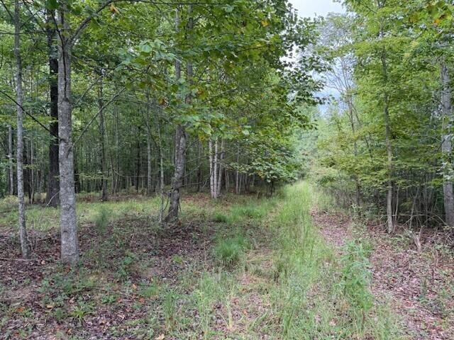 0 South Pittsburg Mountain Road Property Photo 9
