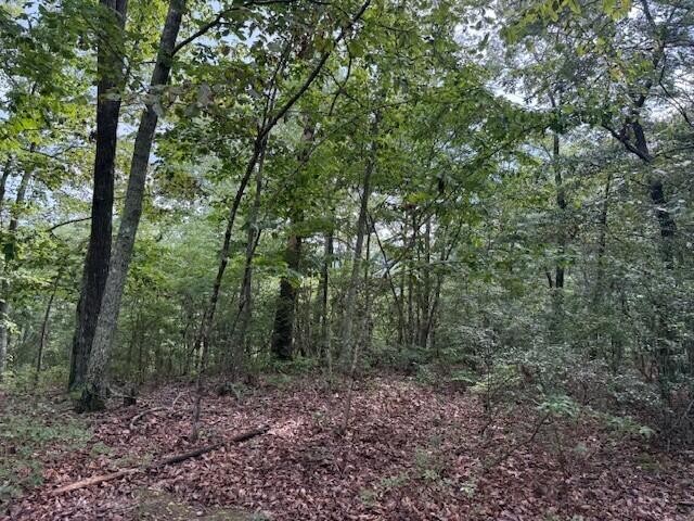0 South Pittsburg Mountain Road Property Photo 10