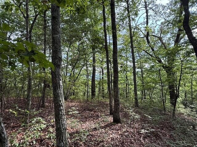 0 South Pittsburg Mountain Road Property Photo 13