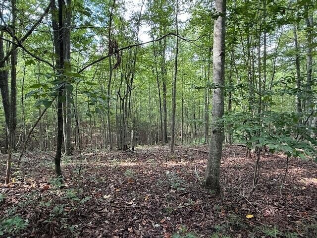 0 South Pittsburg Mountain Road Property Photo 14