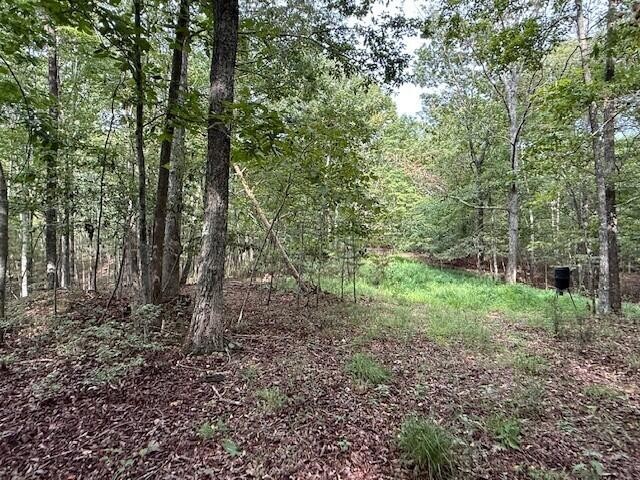 0 South Pittsburg Mountain Road Property Photo 15