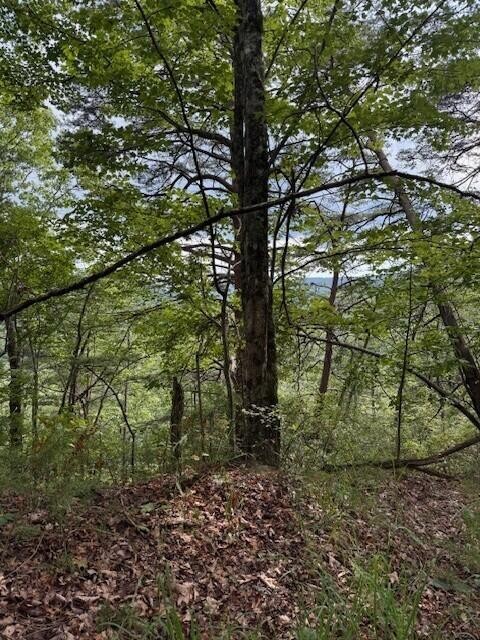0 South Pittsburg Mountain Road Property Photo 16