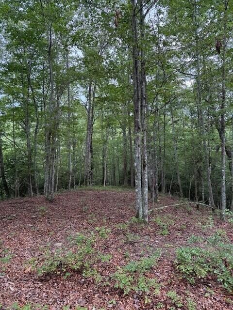 0 South Pittsburg Mountain Road Property Photo 17