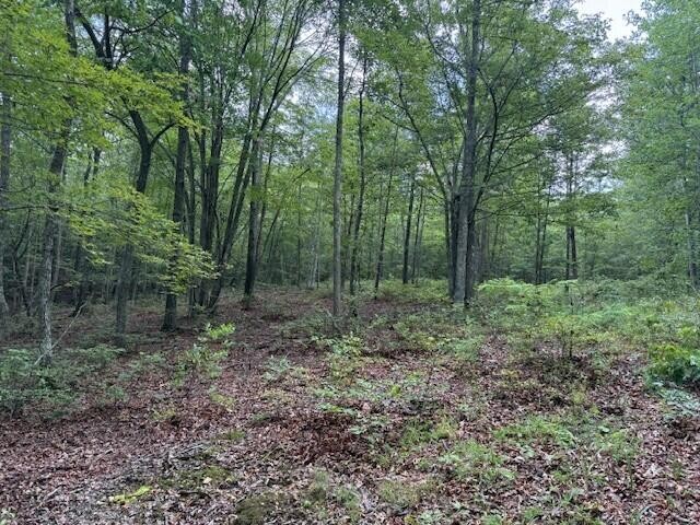 0 South Pittsburg Mountain Road Property Photo 18