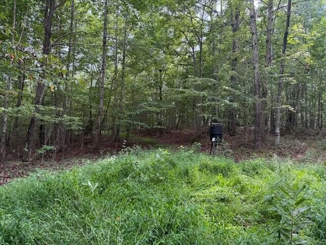 0 South Pittsburg Mountain Road Property Photo 19