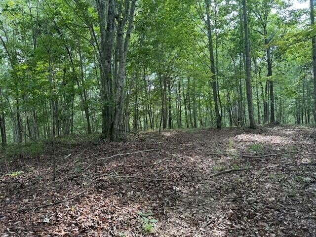 0 South Pittsburg Mountain Road Property Photo 20