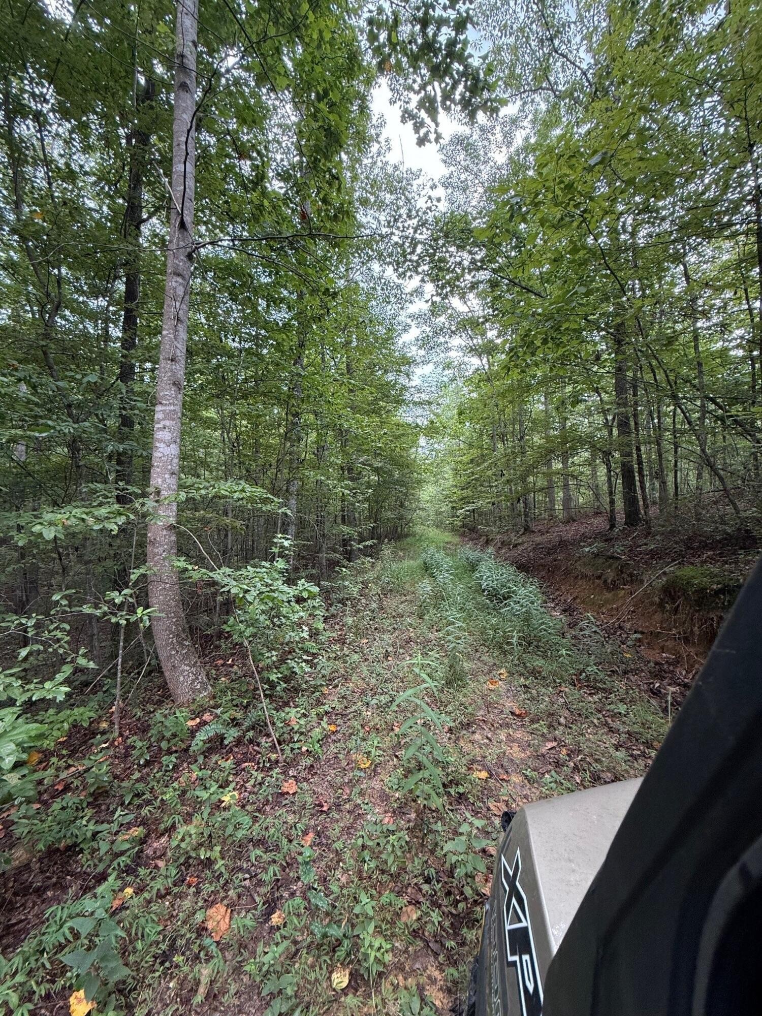 0 South Pittsburg Mountain Road Property Photo 24