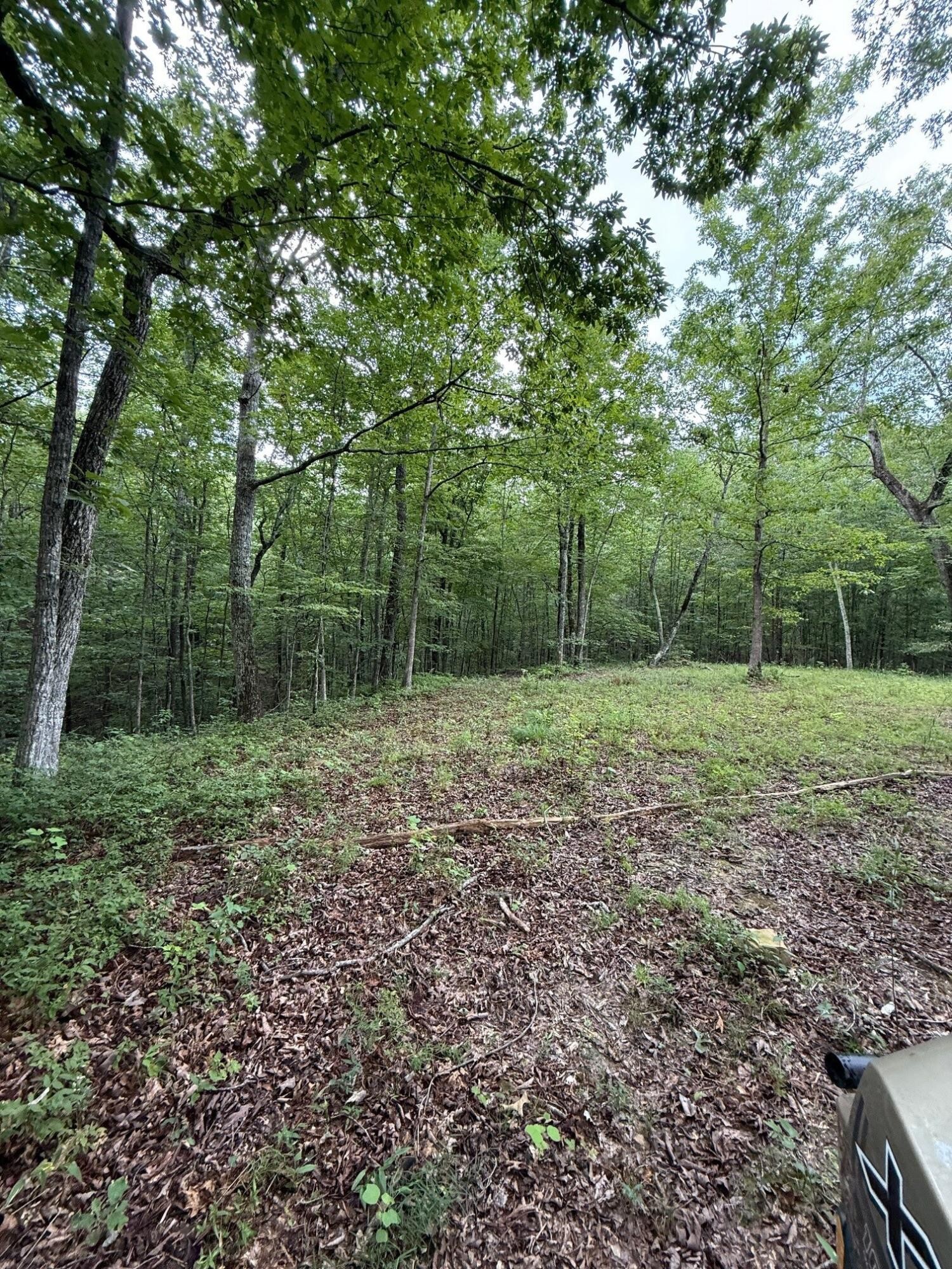 0 South Pittsburg Mountain Road Property Photo 25