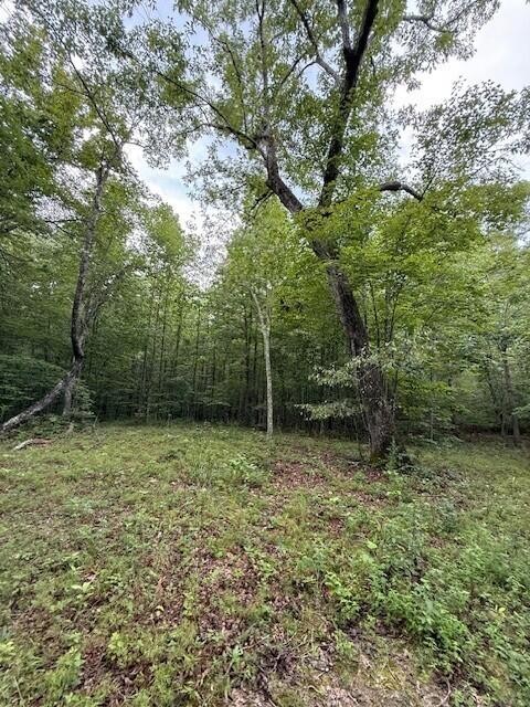 0 South Pittsburg Mountain Road Property Photo 27