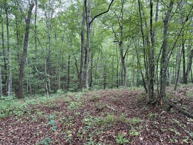 0 South Pittsburg Mountain Road Property Photo 28