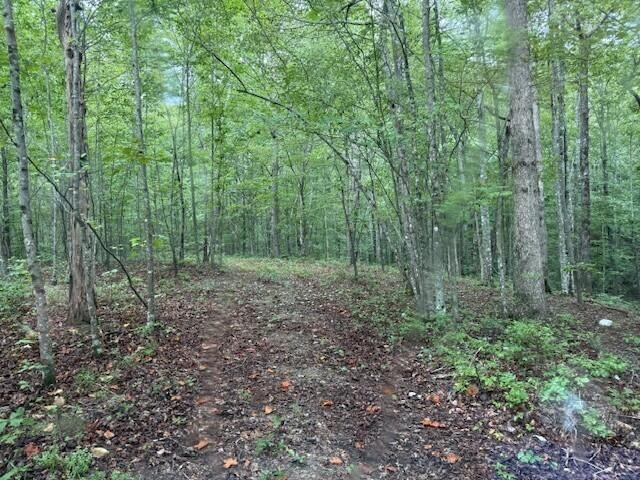 0 South Pittsburg Mountain Road Property Photo 29