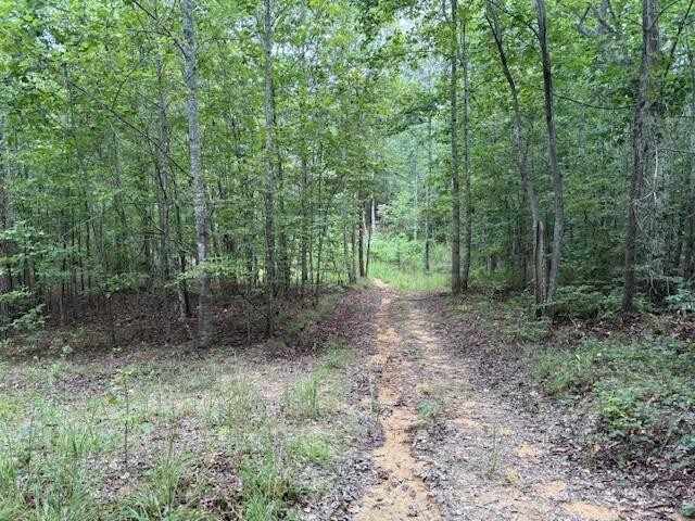 0 South Pittsburg Mountain Road Property Photo 30