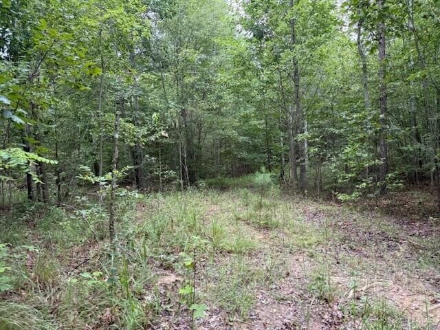 0 South Pittsburg Mountain Road Property Photo 31