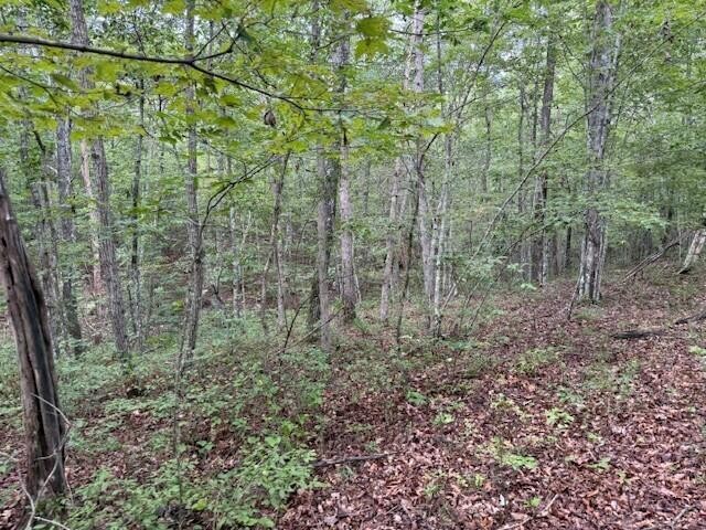 0 South Pittsburg Mountain Road Property Photo 32