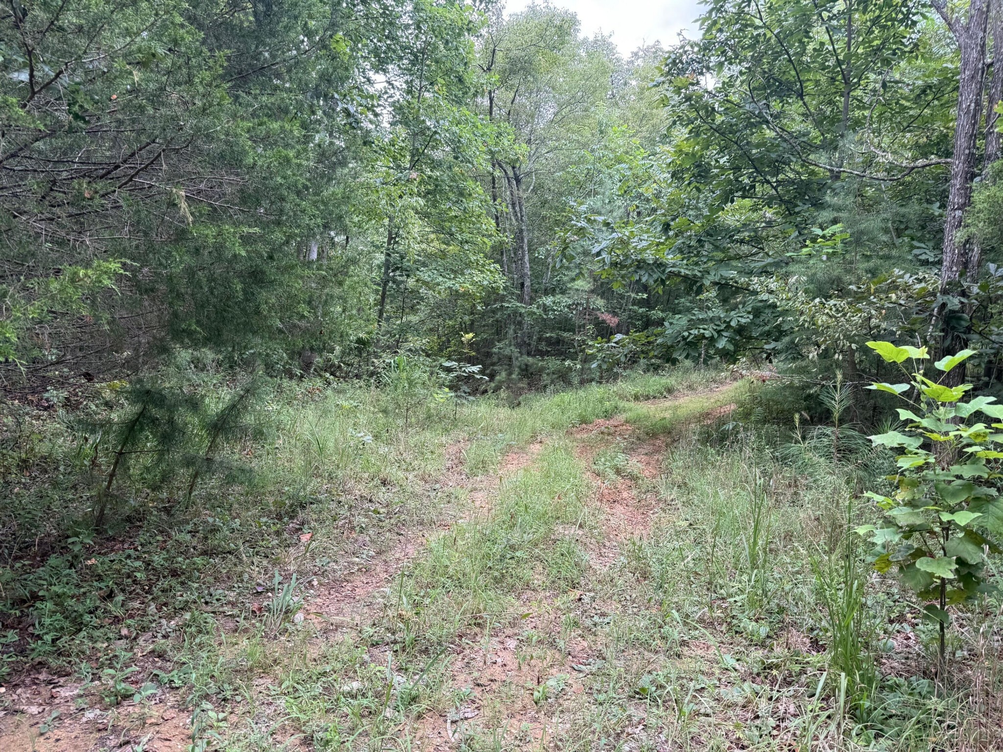 0 South Pittsburg Mountain Road Property Photo 34