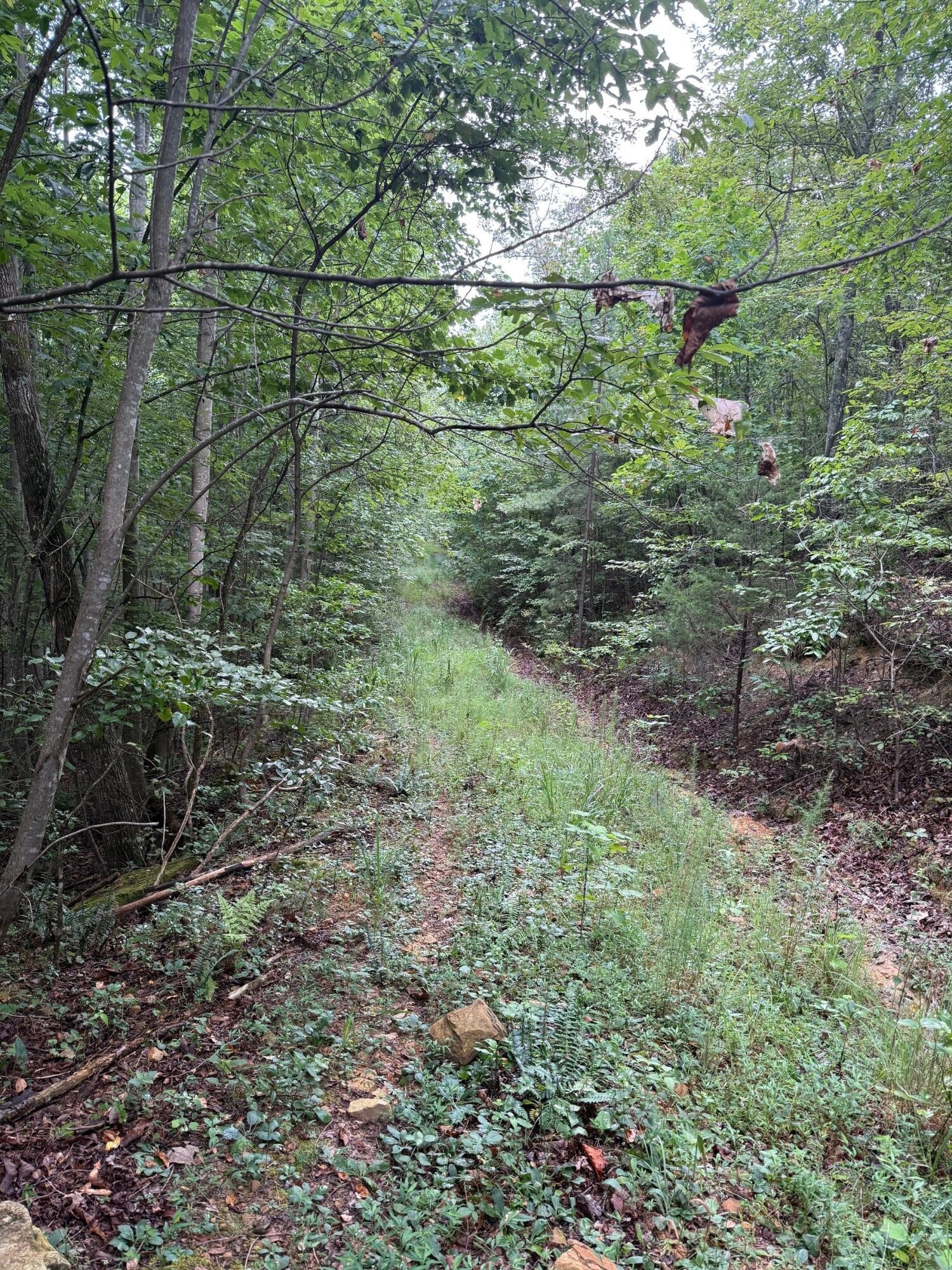 0 South Pittsburg Mountain Road Property Photo 35