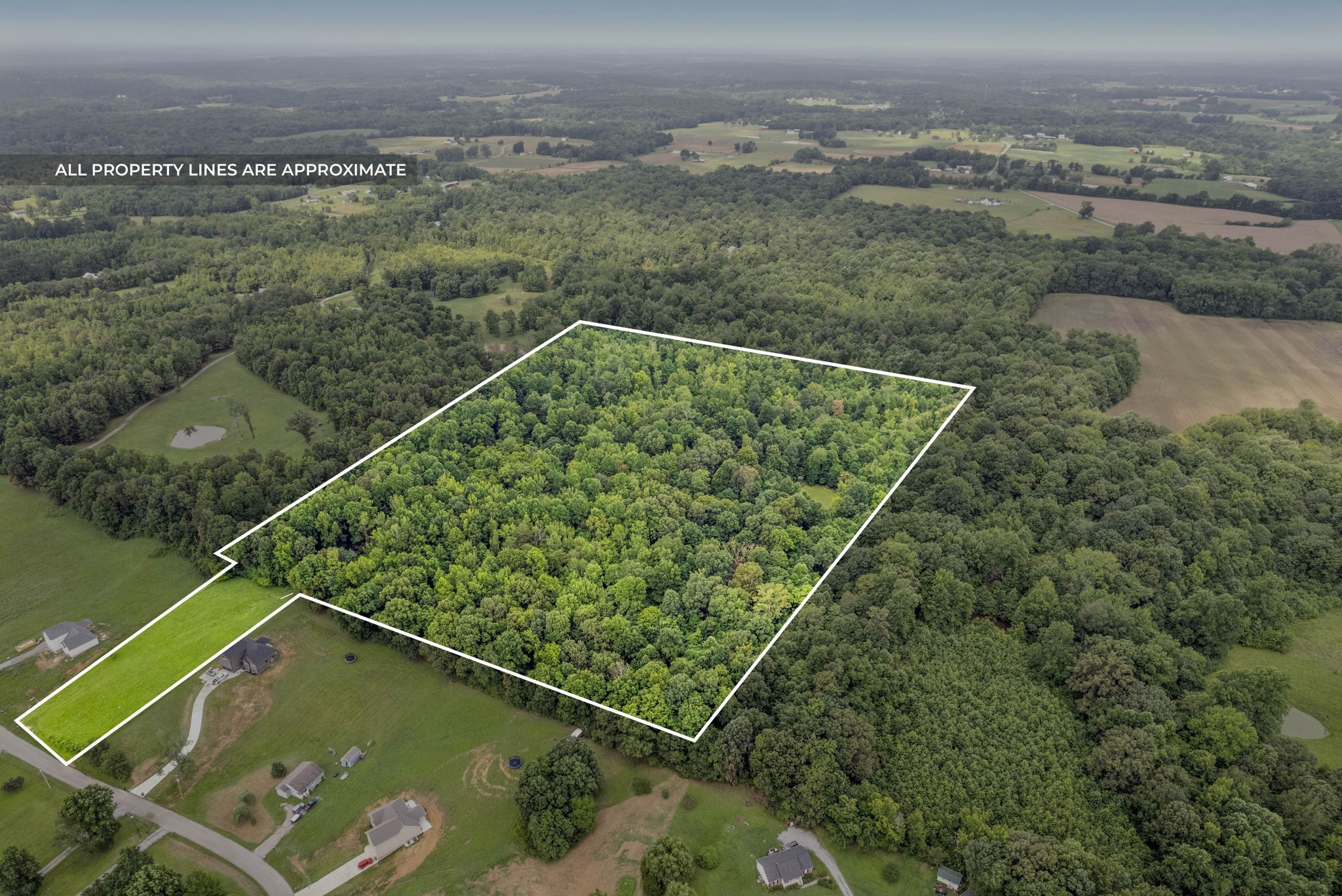 0 Poplar Ridge Rd Property Photo 3