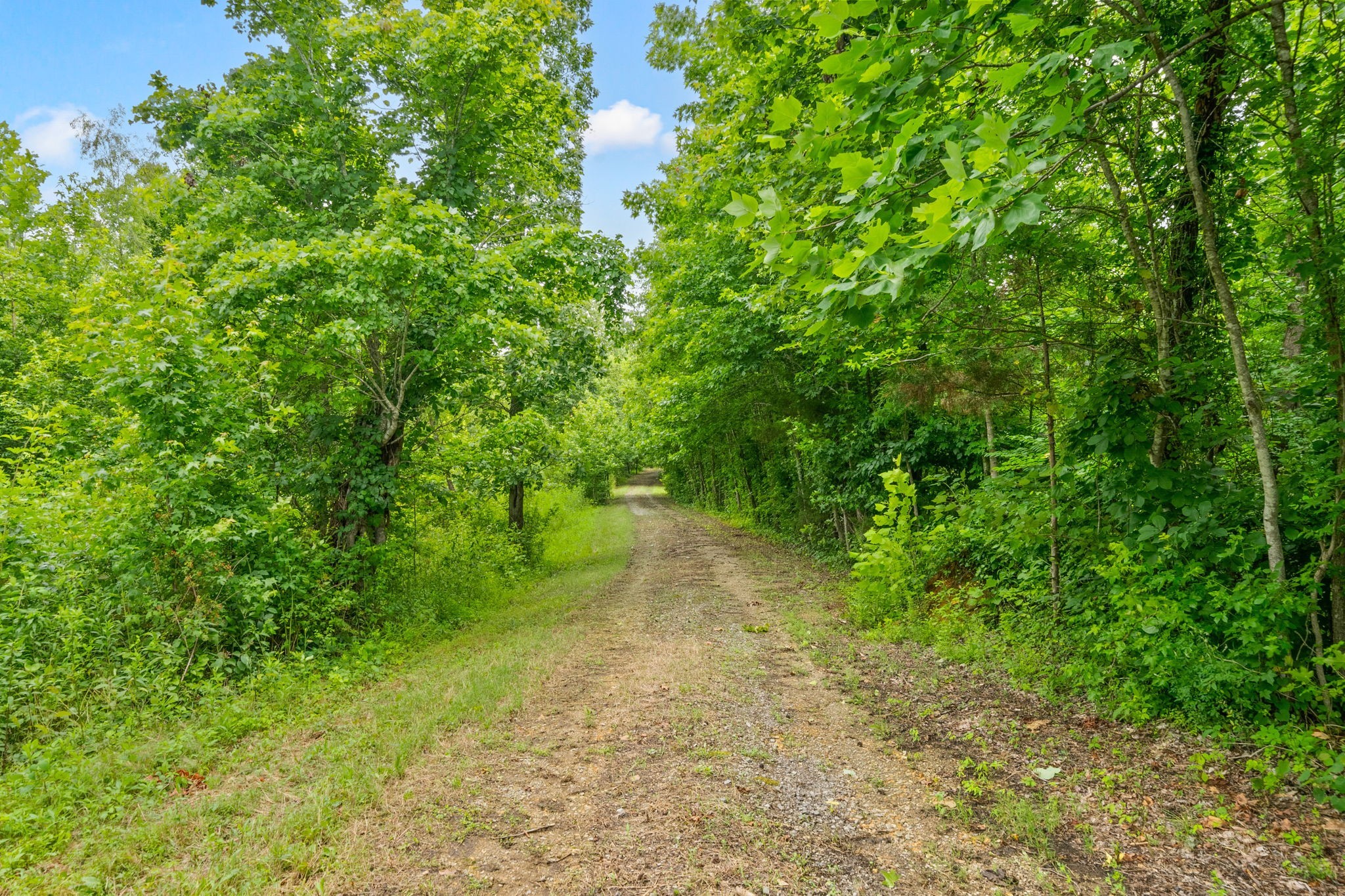0 Poplar Ridge Rd Property Photo 7