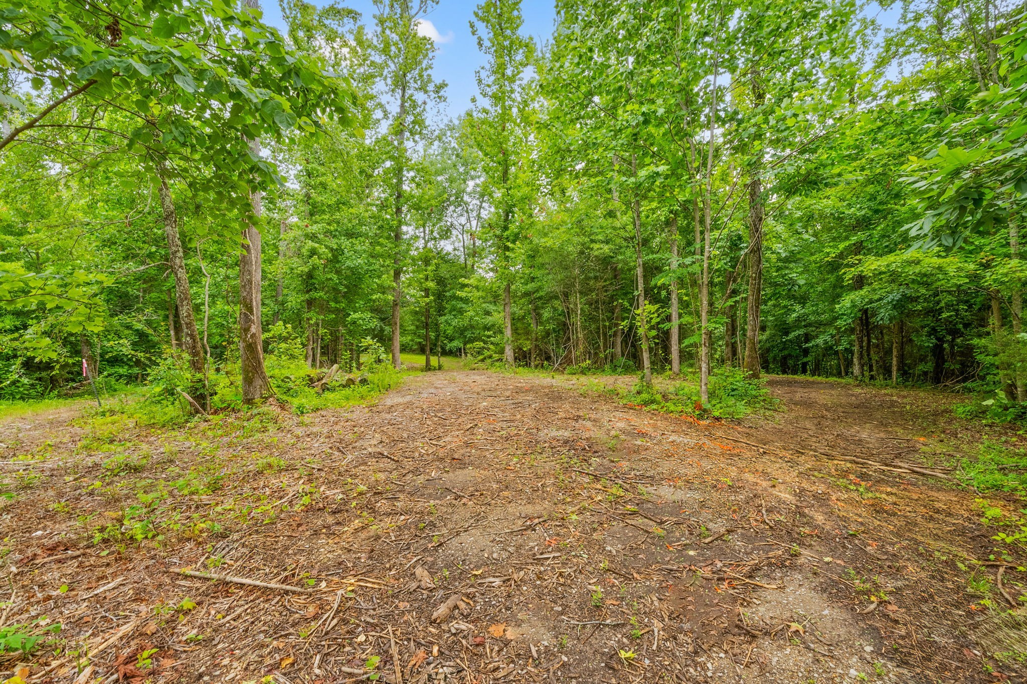 0 Poplar Ridge Rd Property Photo 8