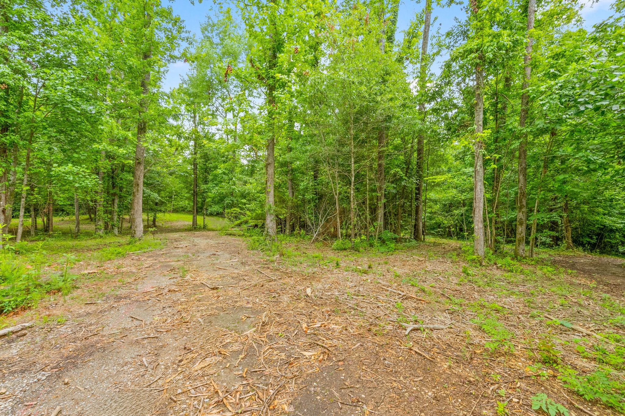 0 Poplar Ridge Rd Property Photo 9