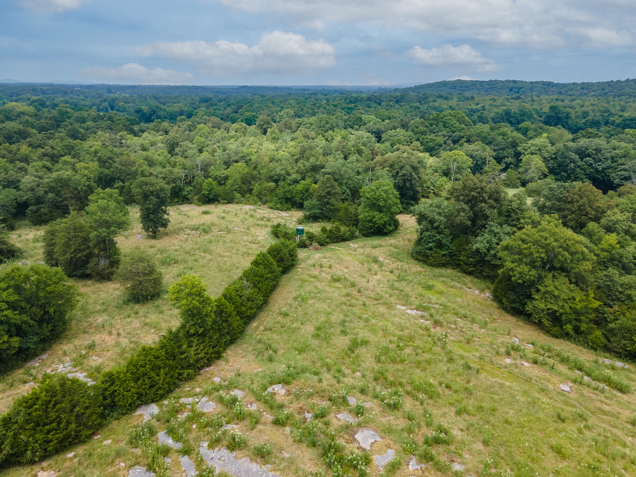 488 Lower Halls Mill Rd Property Photo 31