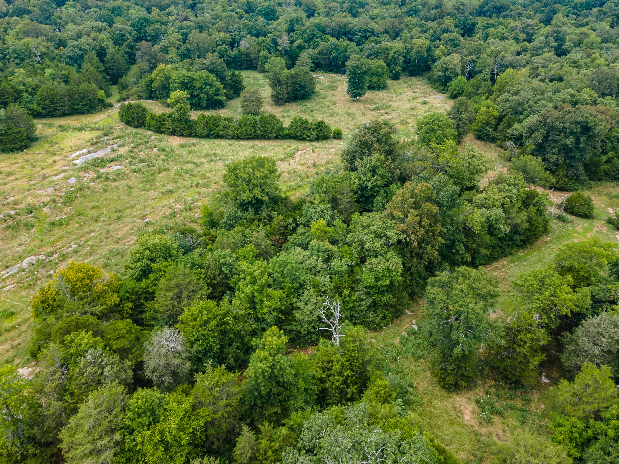 488 Lower Halls Mill Rd Property Photo 32