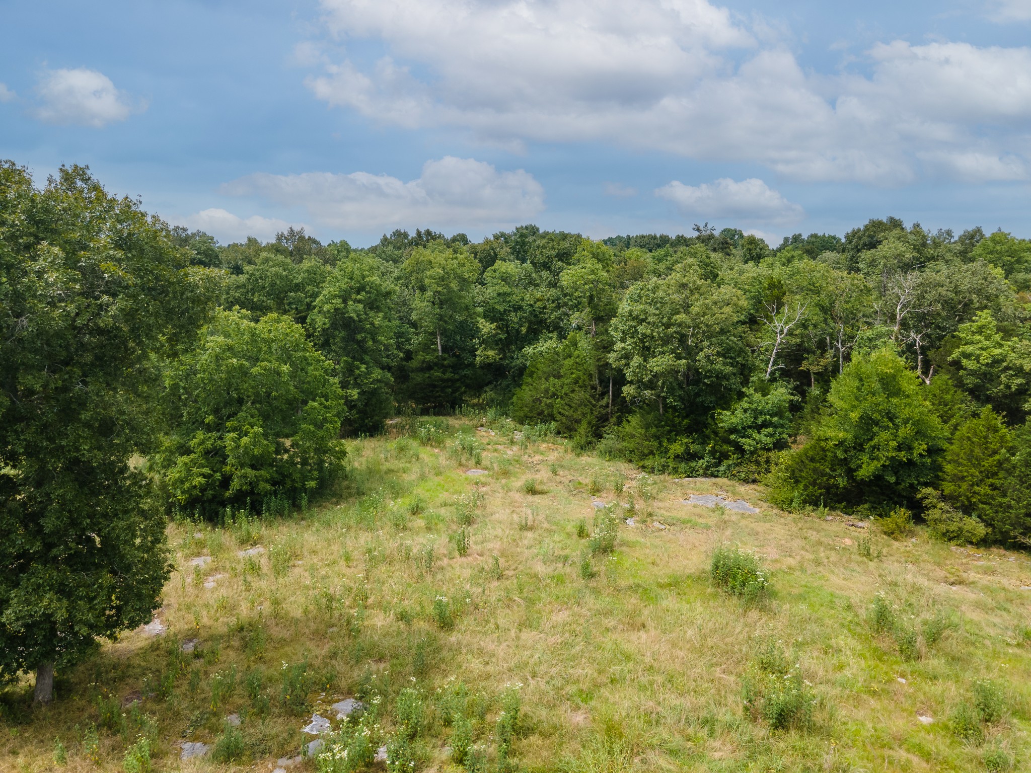 488 Lower Halls Mill Rd Property Photo 34