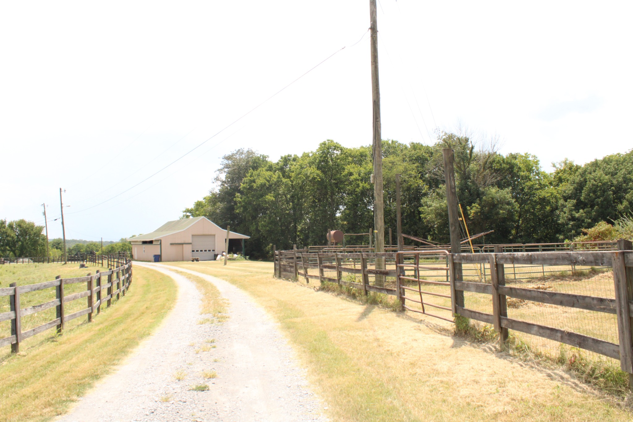 1361 Madison Creek Rd Property Photo 88