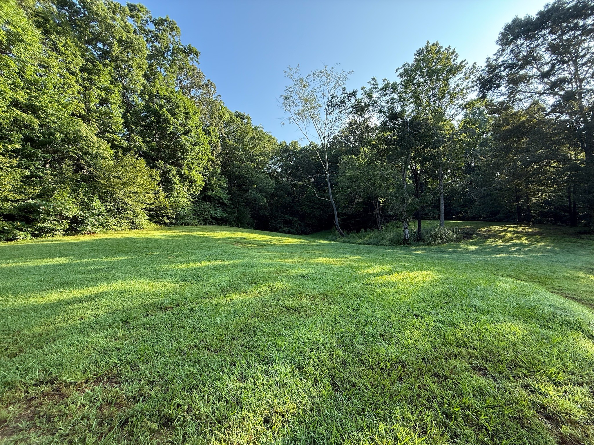 169 N Chisholm Creek Rd Property Photo 4