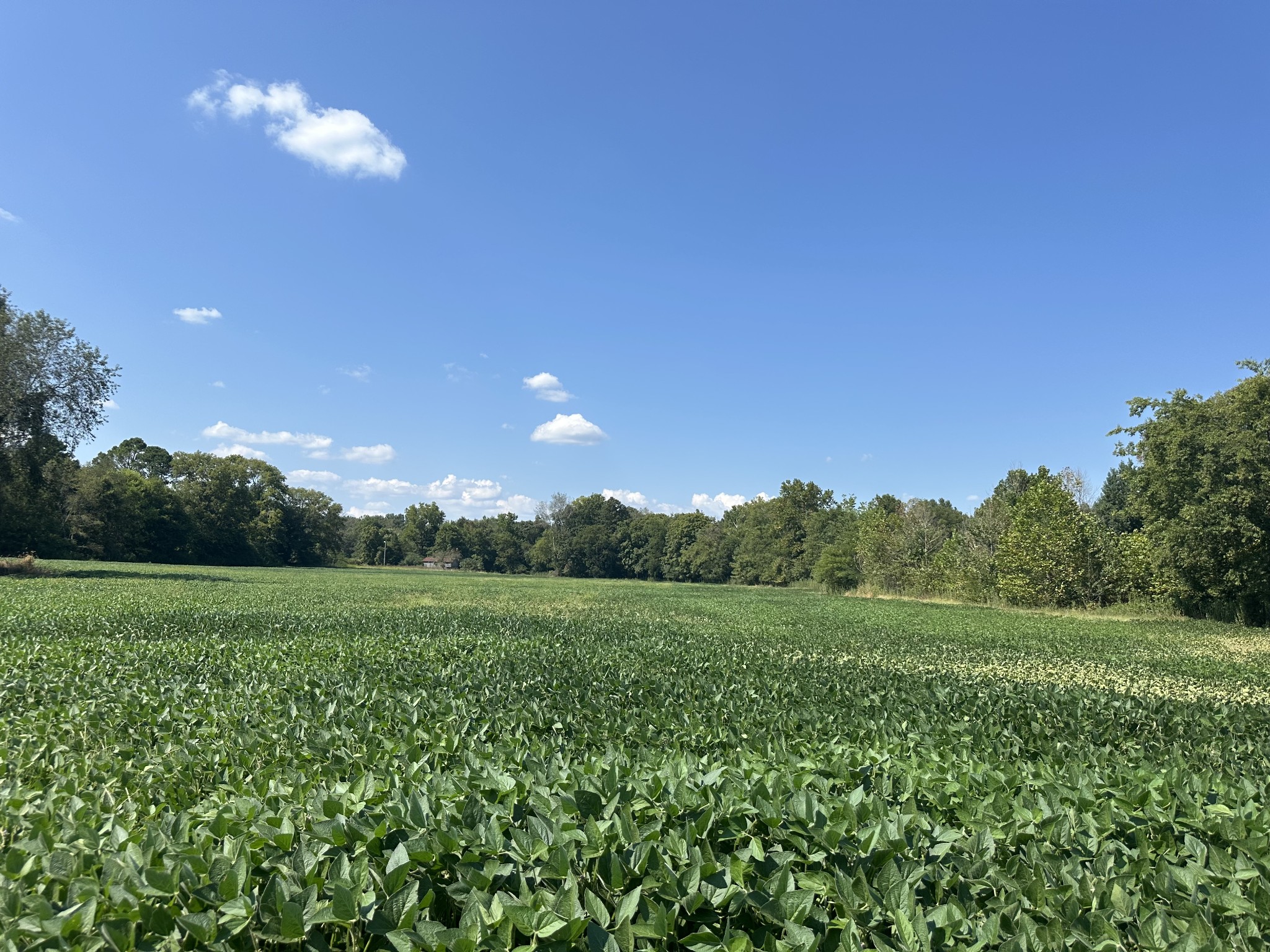 15608 South Road Property Photo
