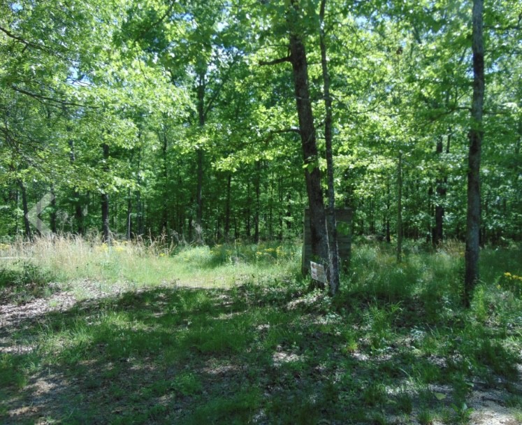 139 Lost Arrowhead Rd Property Photo 3