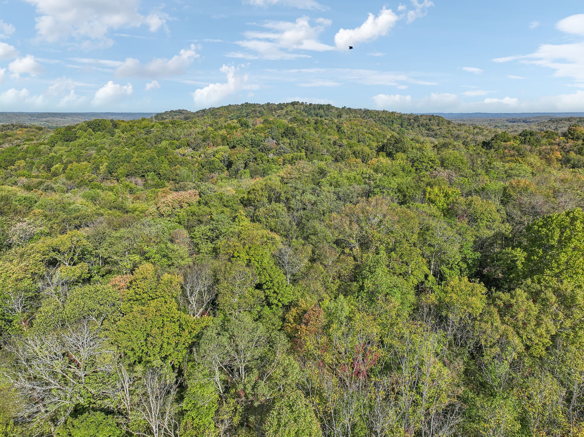 0 Howell Rd Property Photo 15