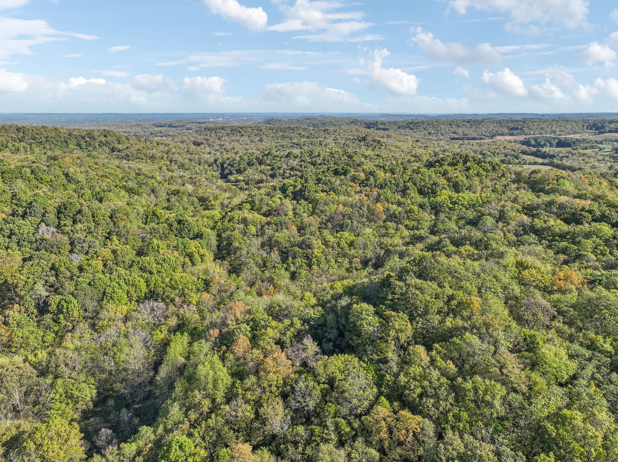 0 Howell Rd Property Photo 16