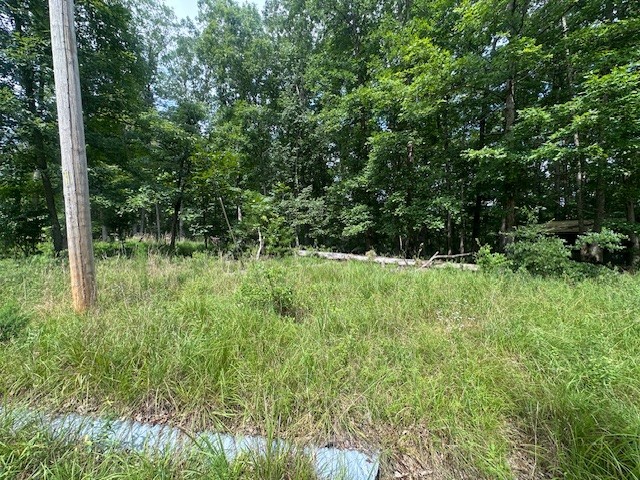 64 Blackwood Dr Property Photo 3