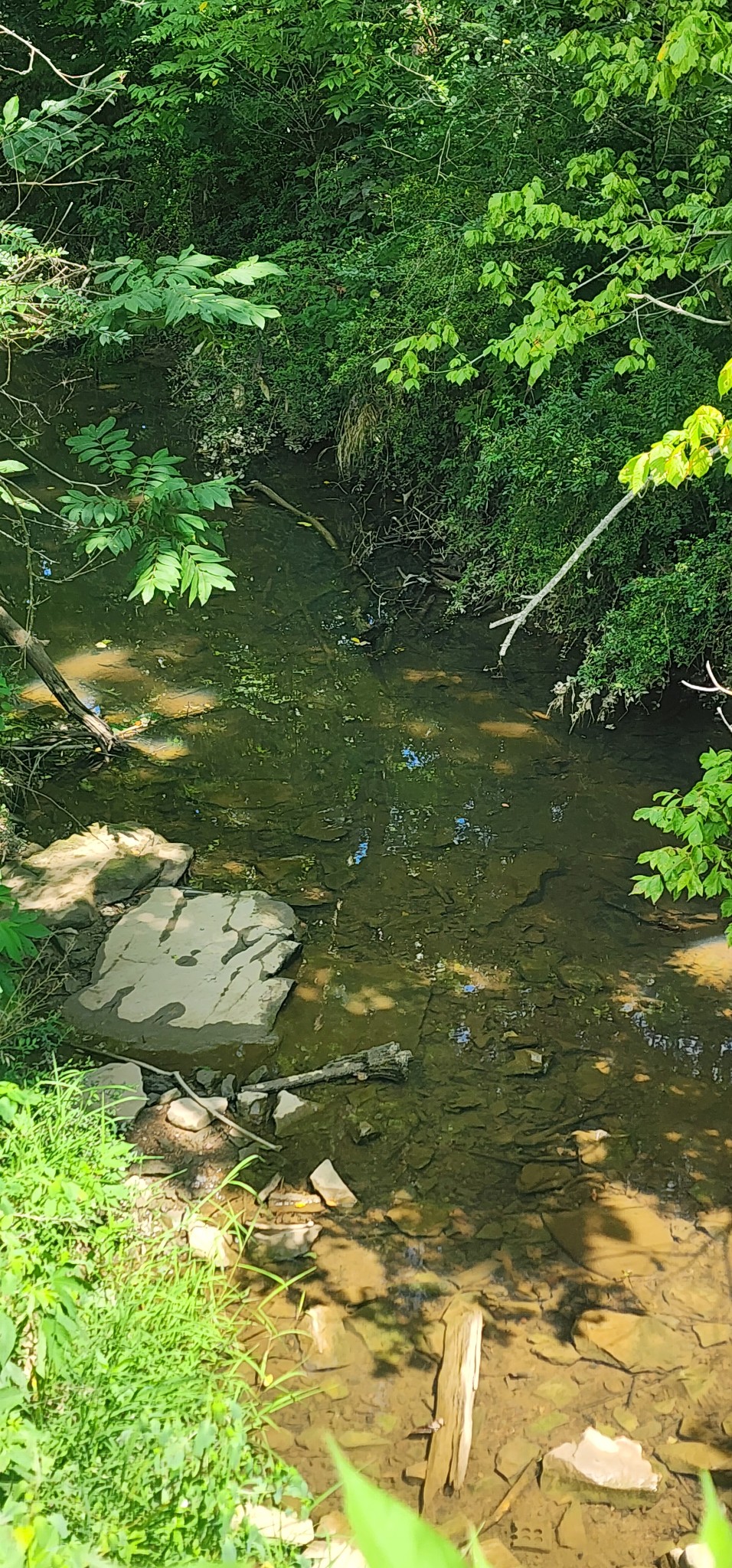 0 3rd Street Property Photo 1