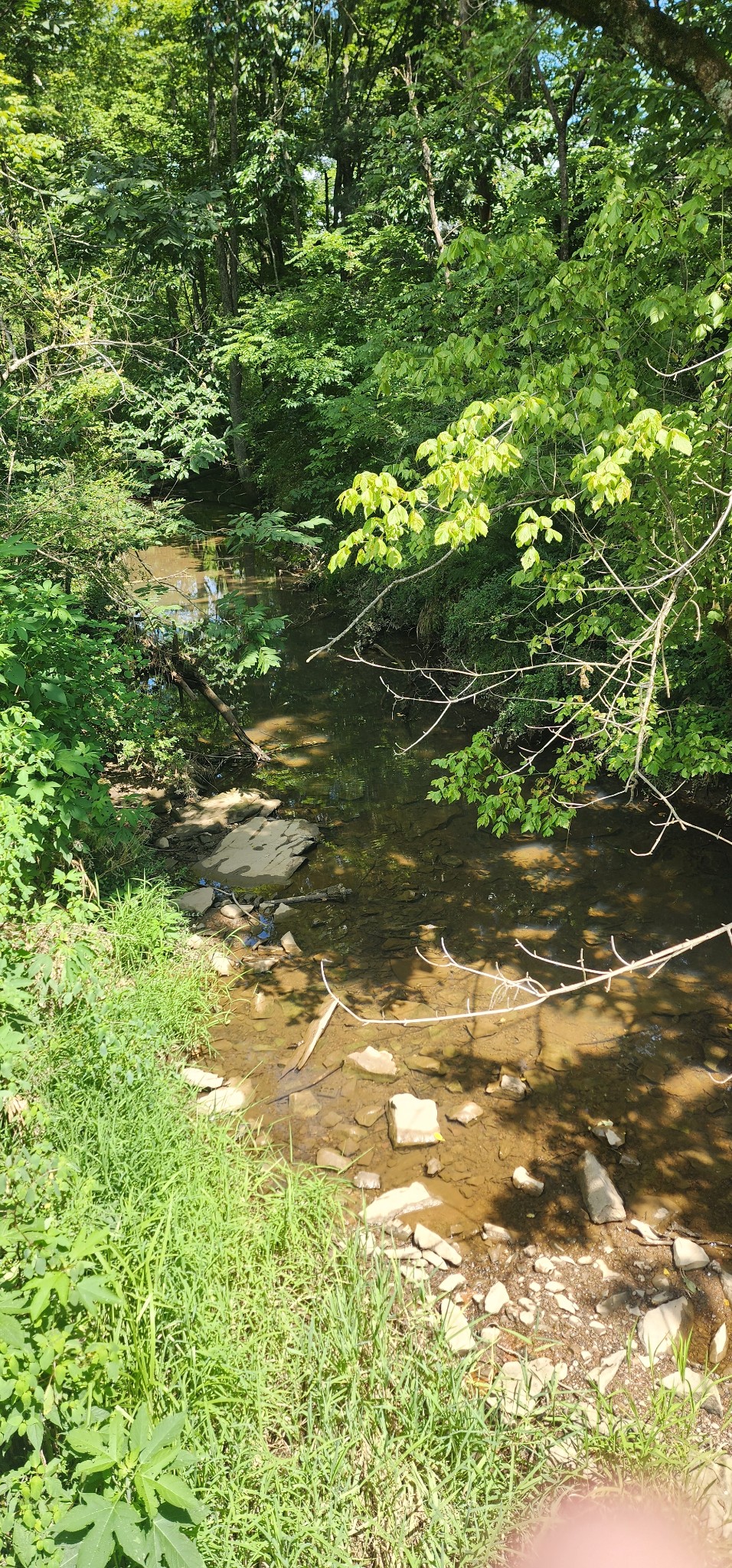 0 3rd Street Property Photo 2