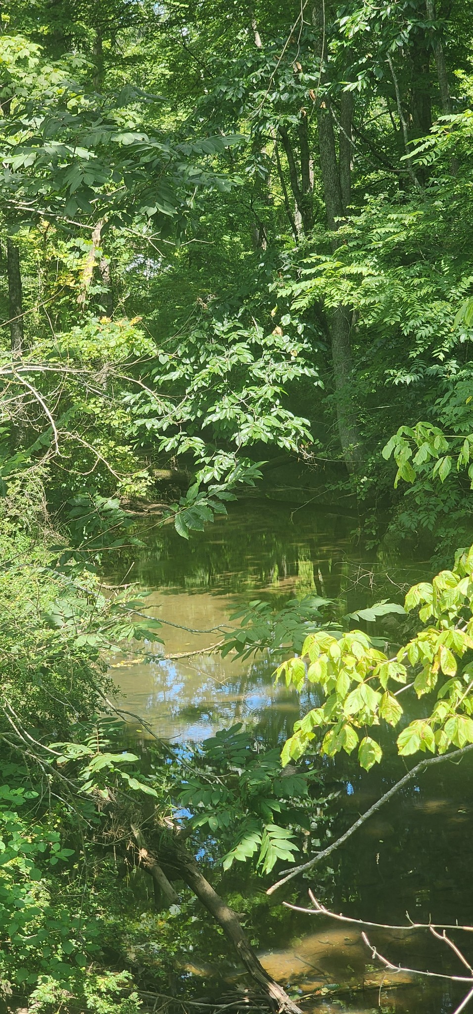 0 3rd Street Property Photo 3