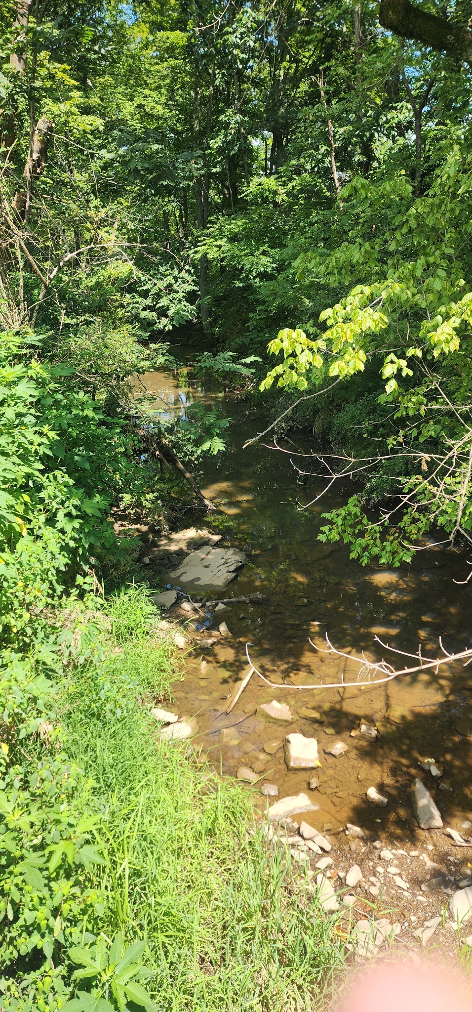 0 3rd Street Property Photo 4