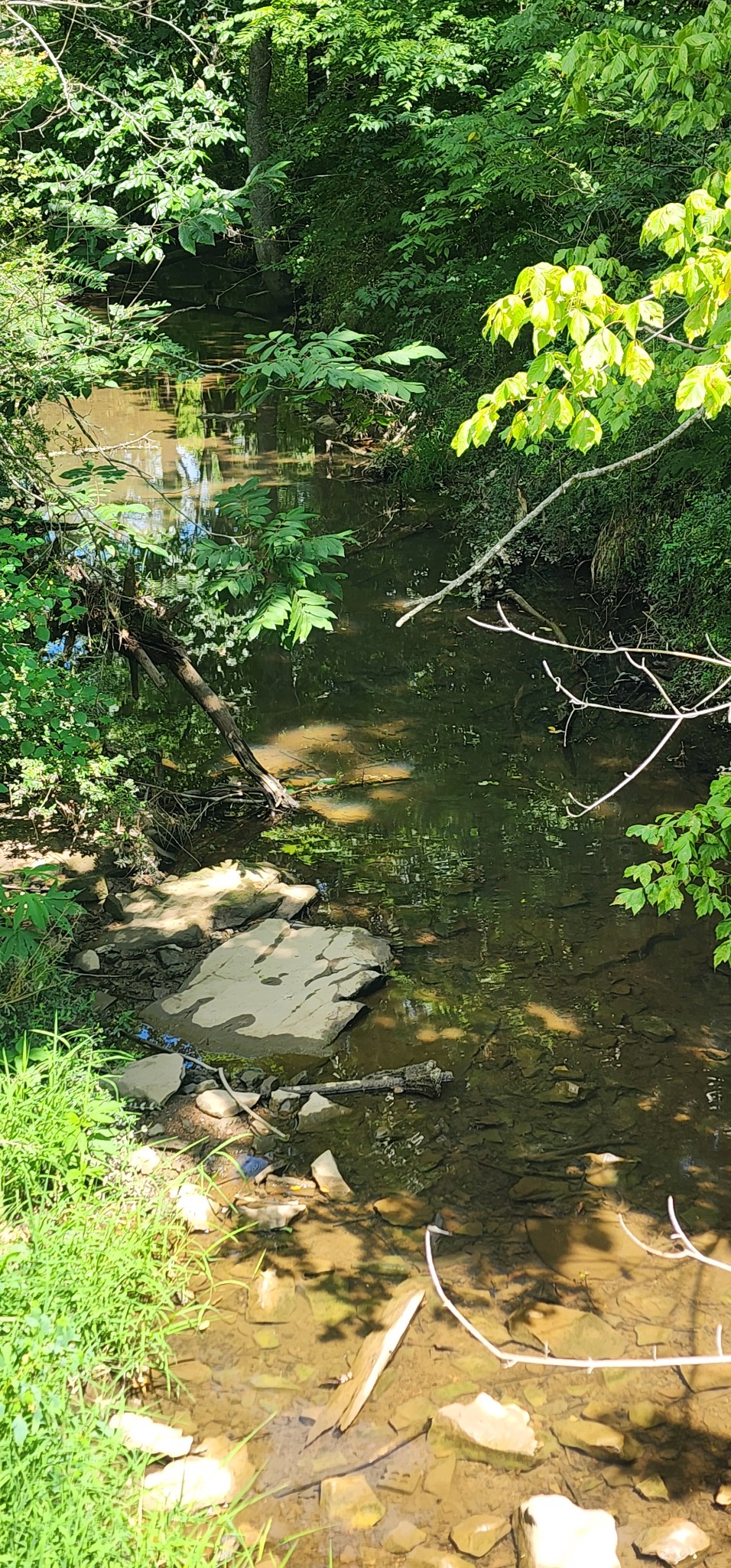 0 3rd Street Property Photo 5